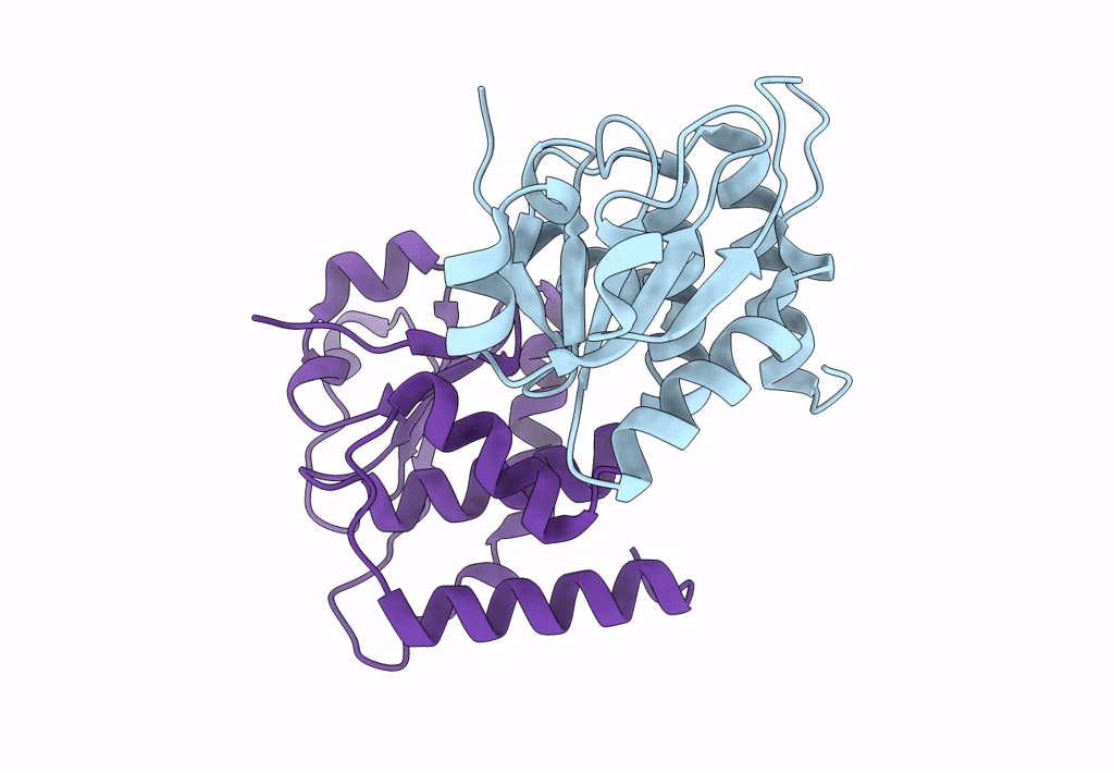 7Y4B image