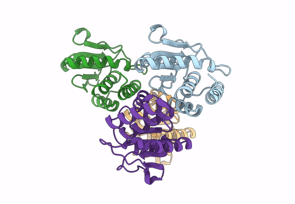 7Y4C image