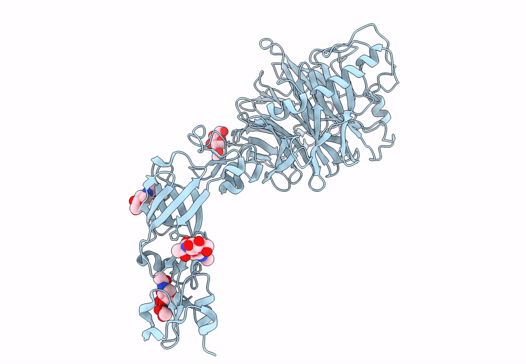 7Y4P image
