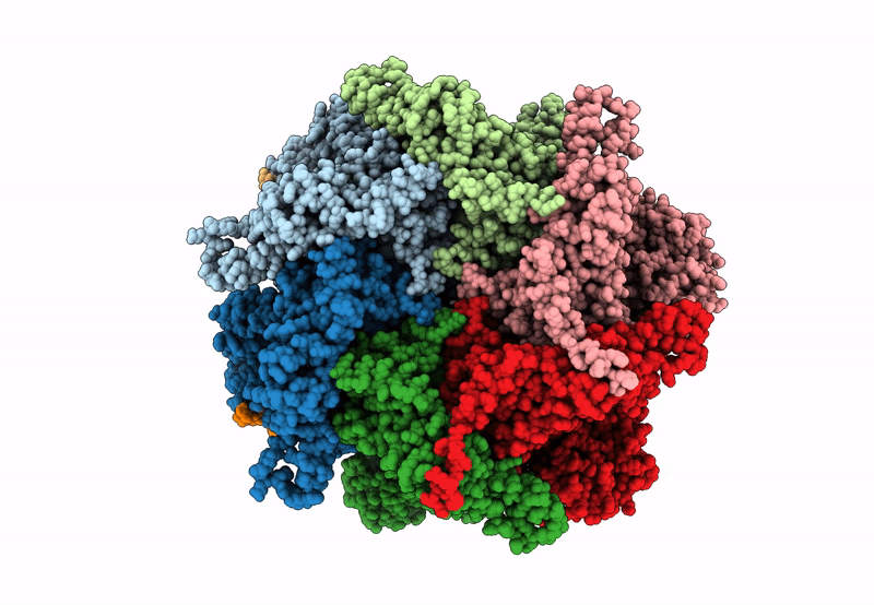 7Y4W image