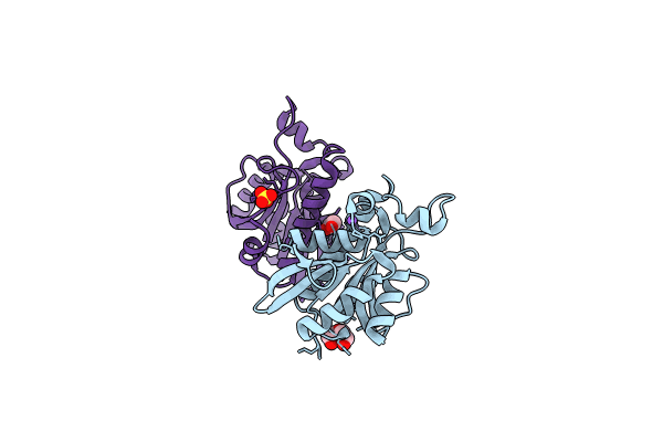 7Y52 image