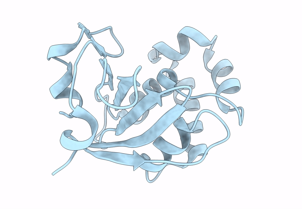 7Y5M image