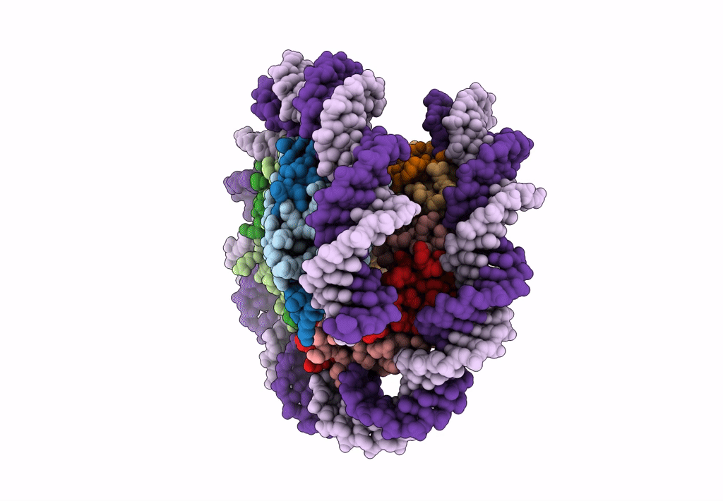 7Y5W image