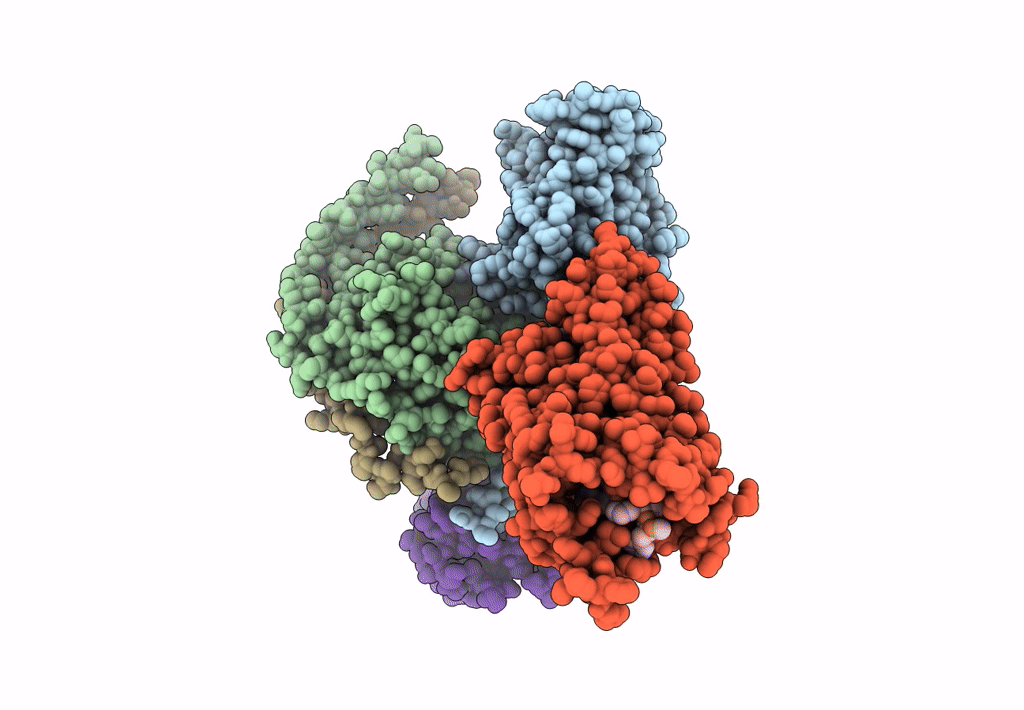 7Y65 image