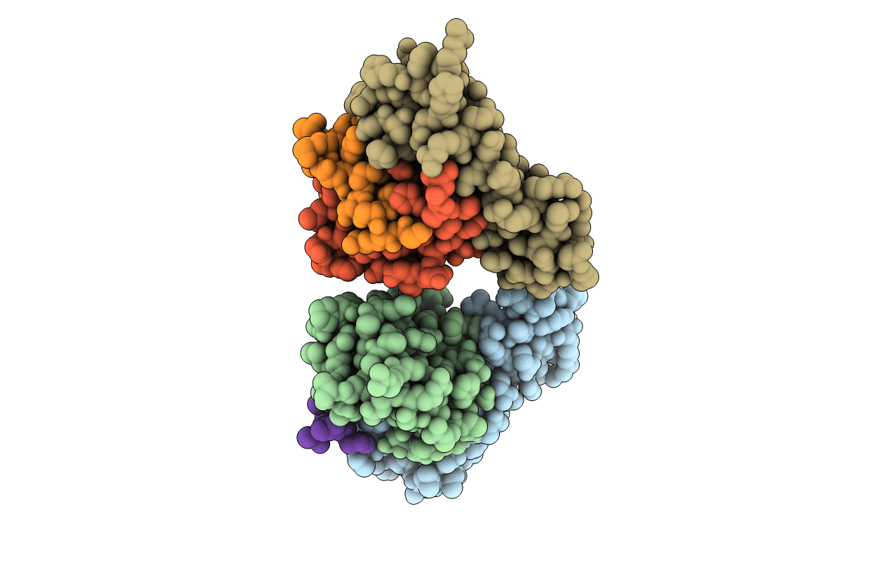 7Y6C image