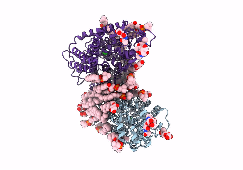 7Y6I image