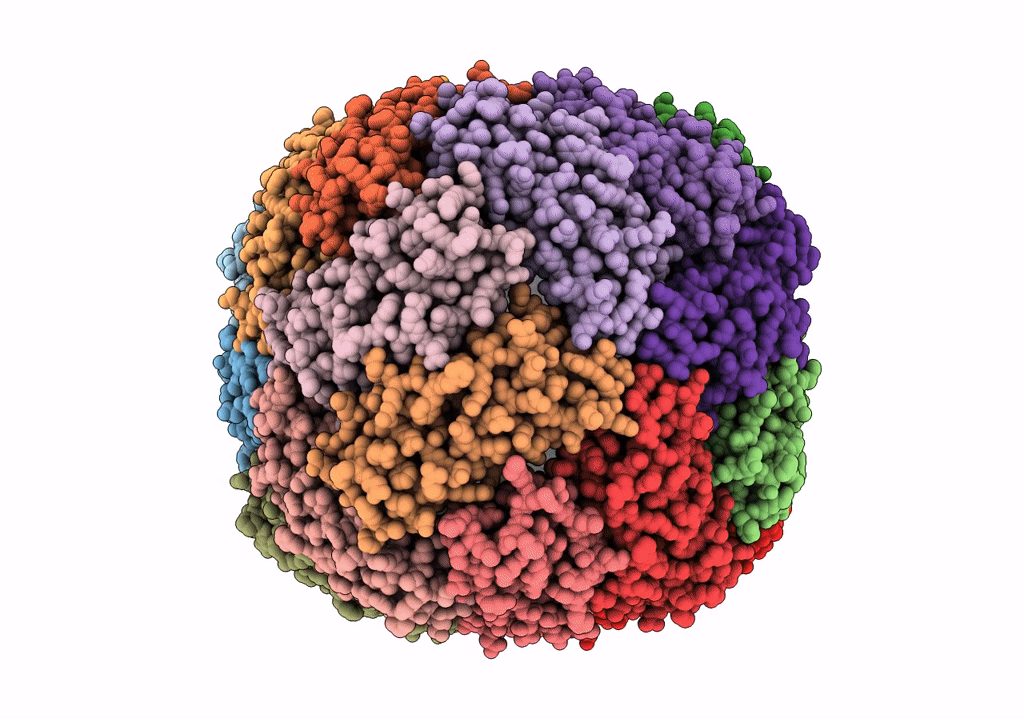 7Y6P image