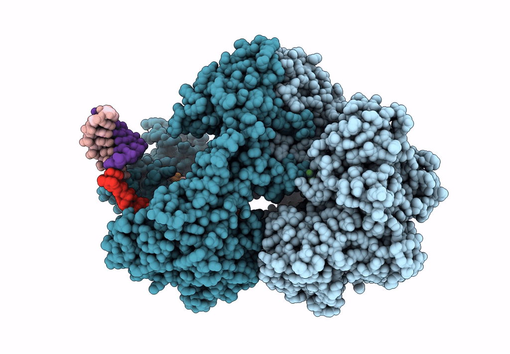 7Y7R image
