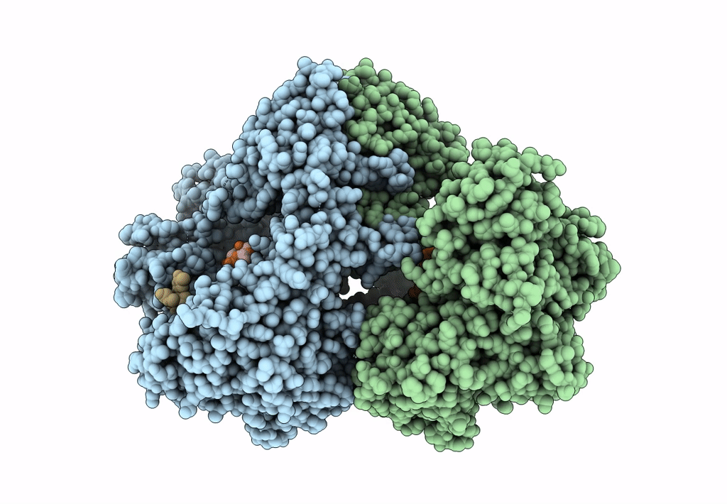 7Y7S image