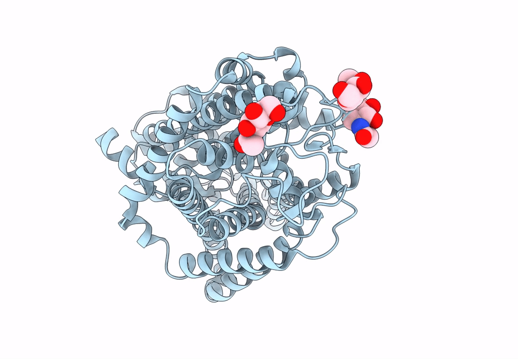 7Y7V image