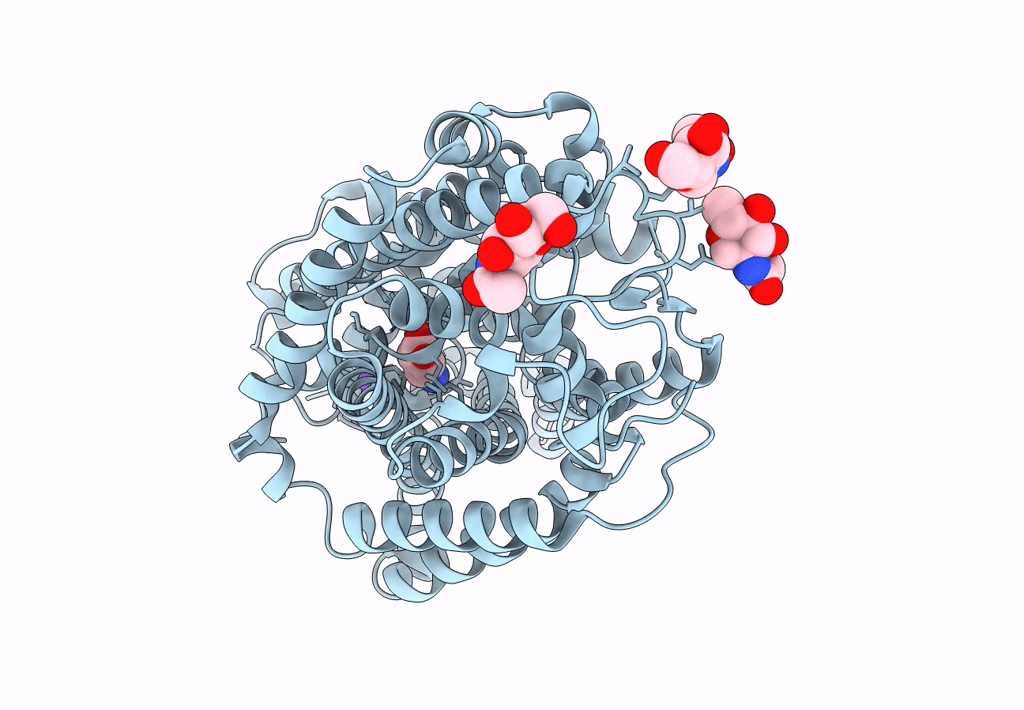 7Y7W image