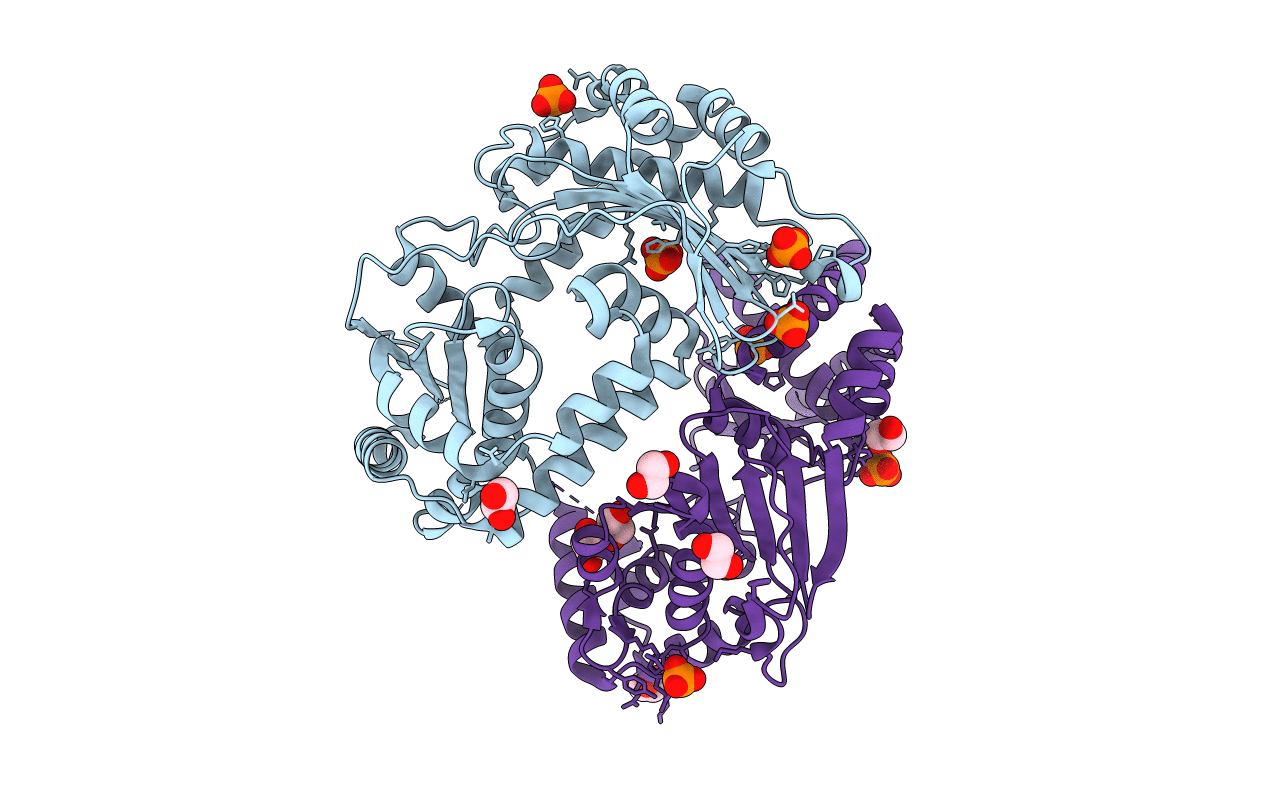 7Y8V image