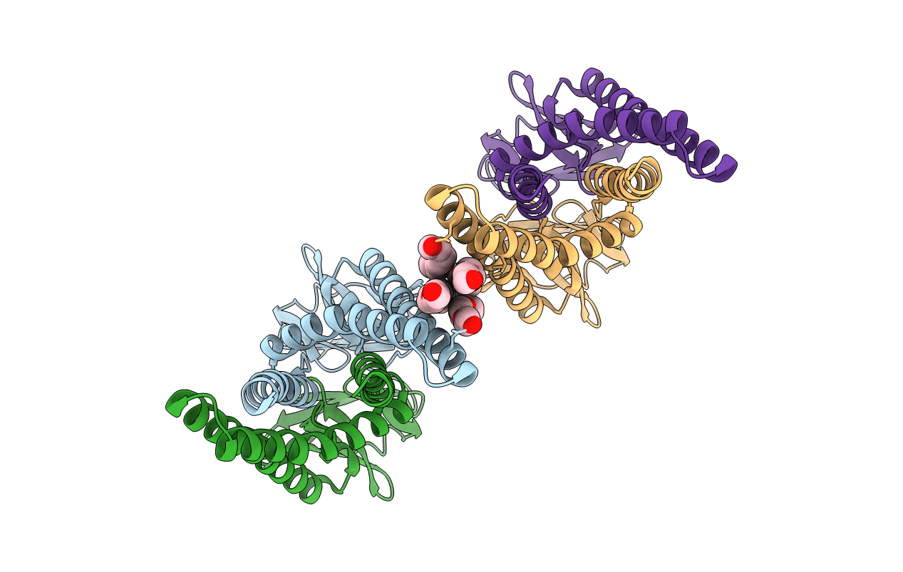 7Y9B image