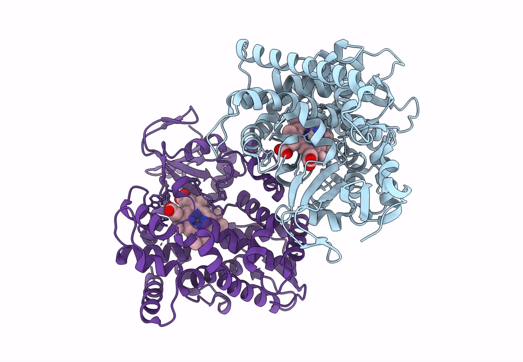 7Y9M image