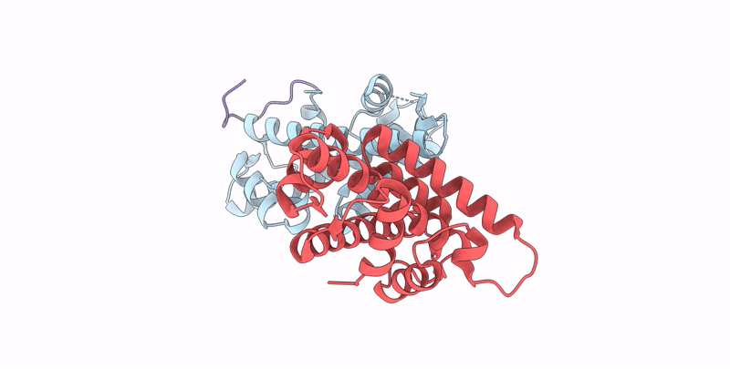 7YBF image