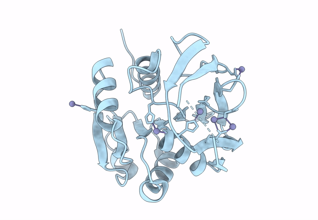7YC6 image