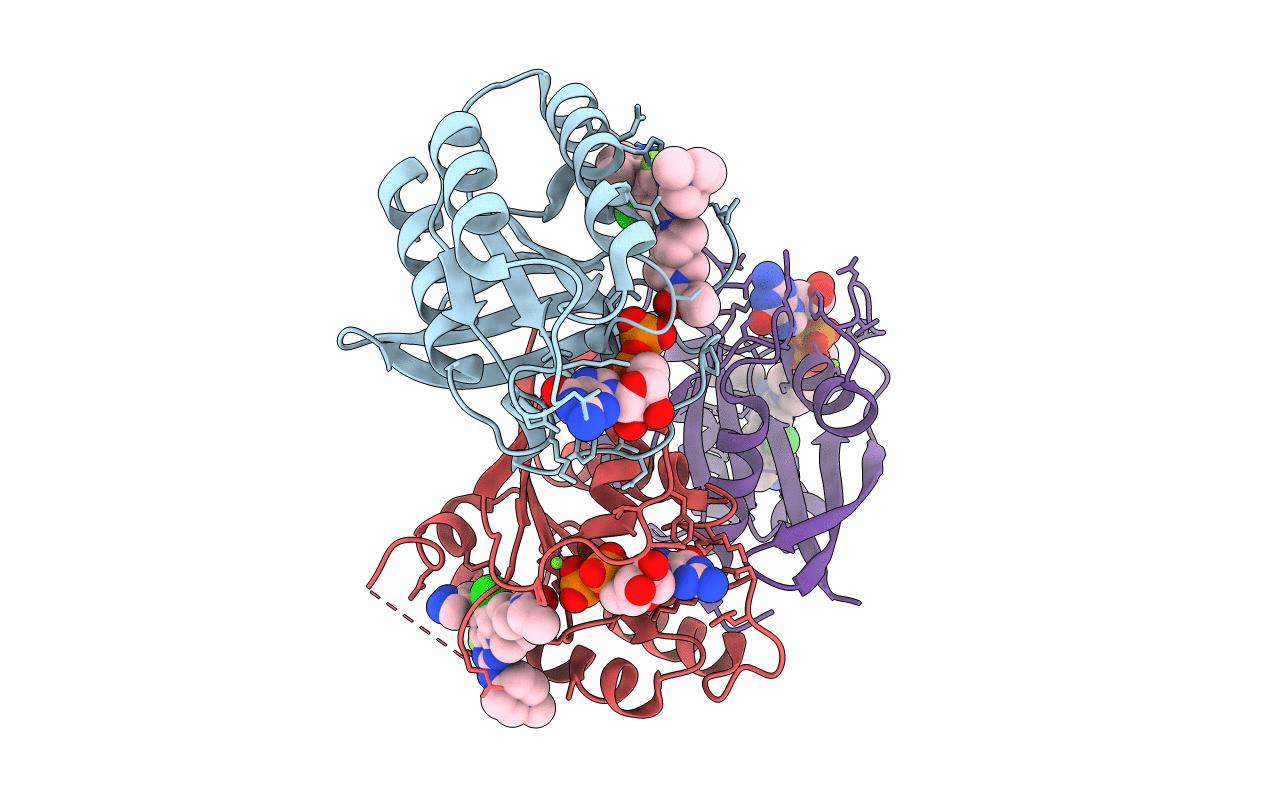 7YCC image