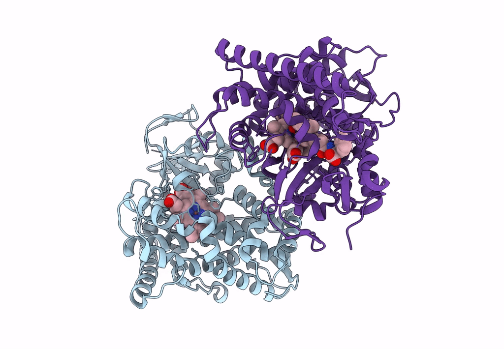 7YDB image