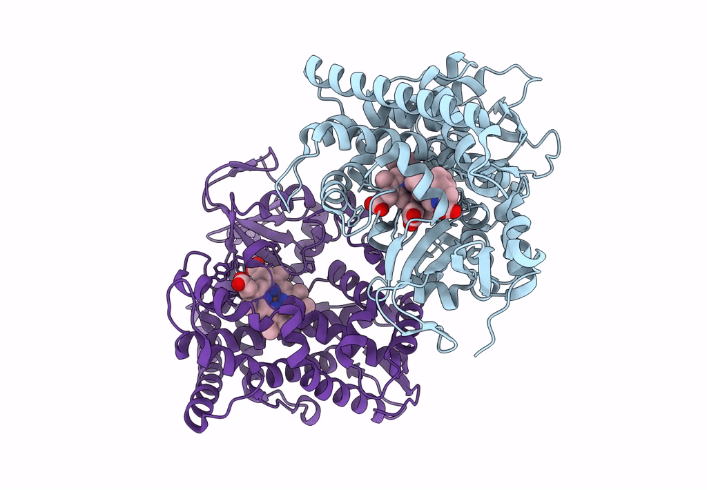 7YDL image