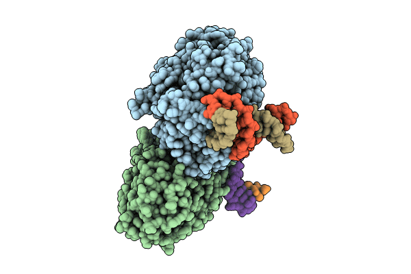 7YDZ image