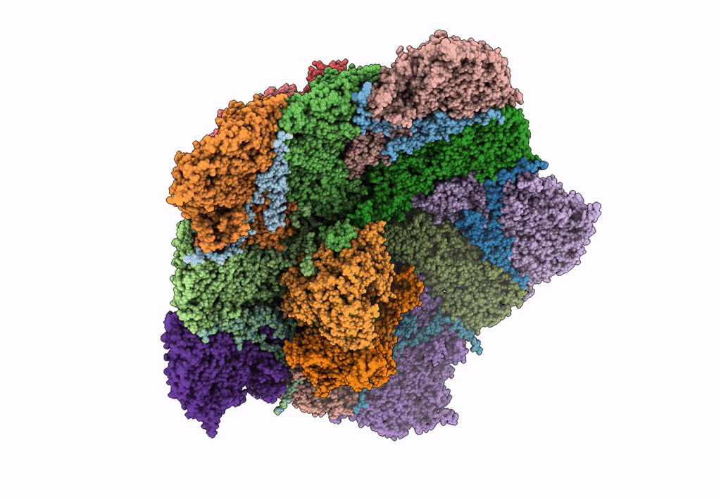 7YF0 image