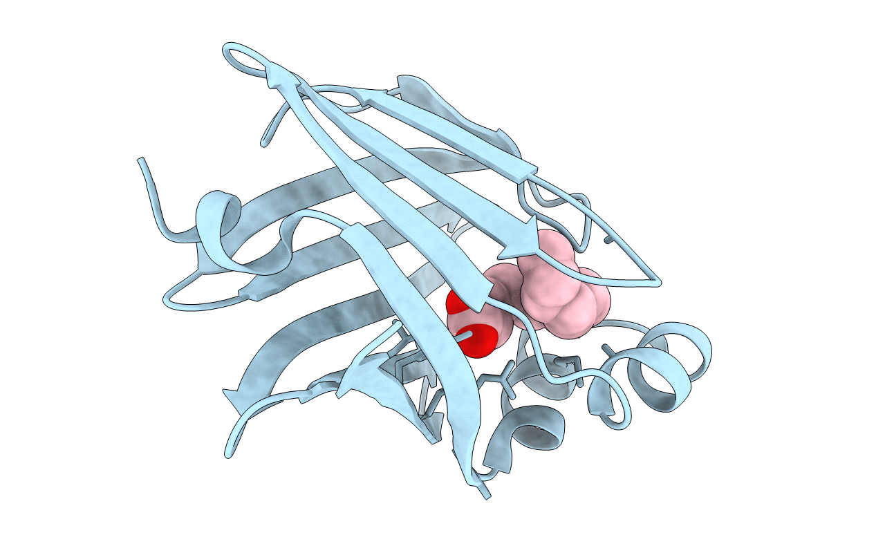 7YF1 image