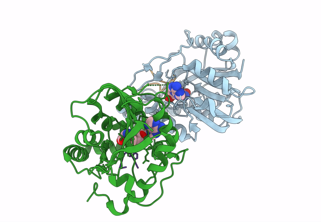 7YF4 image