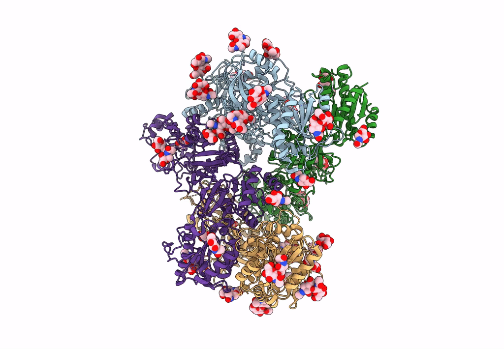 7YFG image