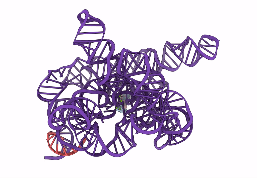 7YGC image