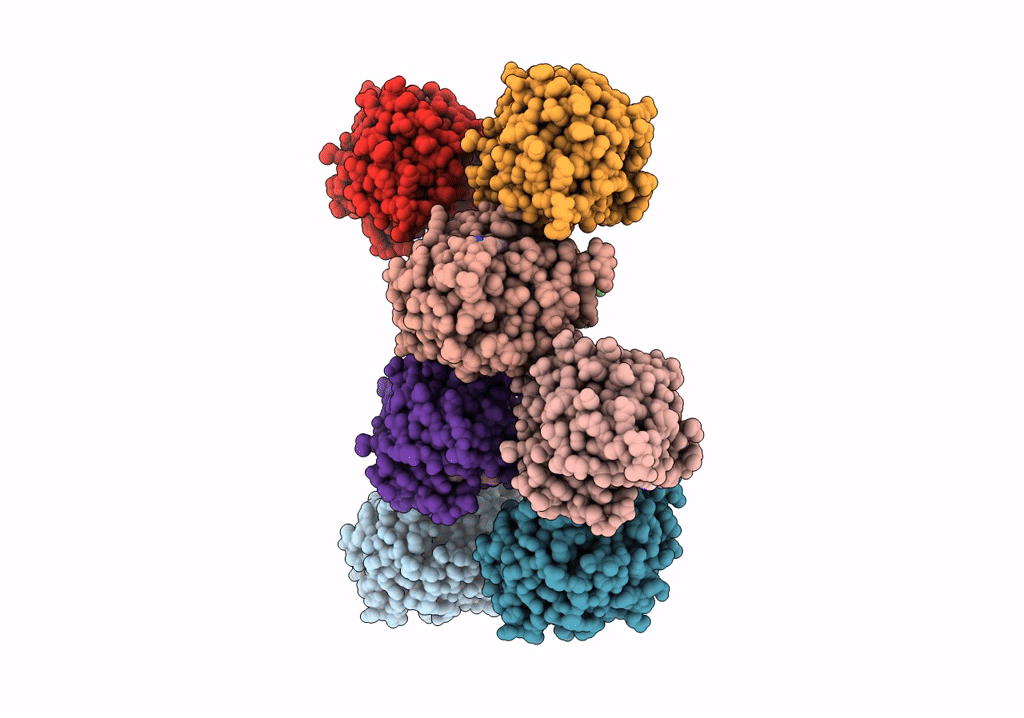 7YHC image