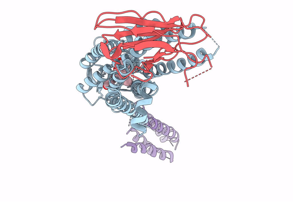 7YIT image
