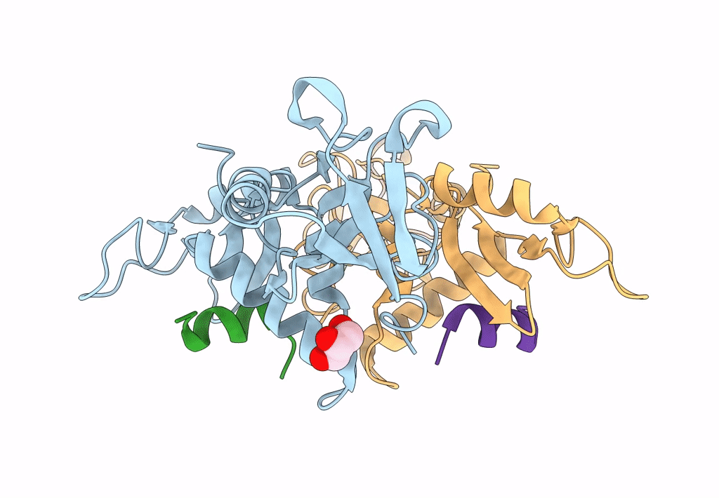 7YKH image