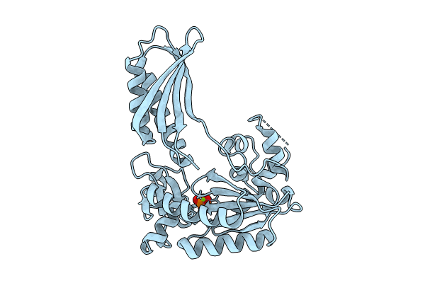 7YLL image