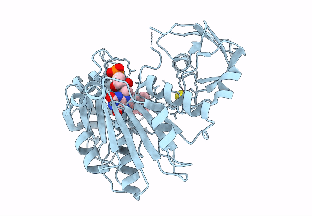 7YLR image