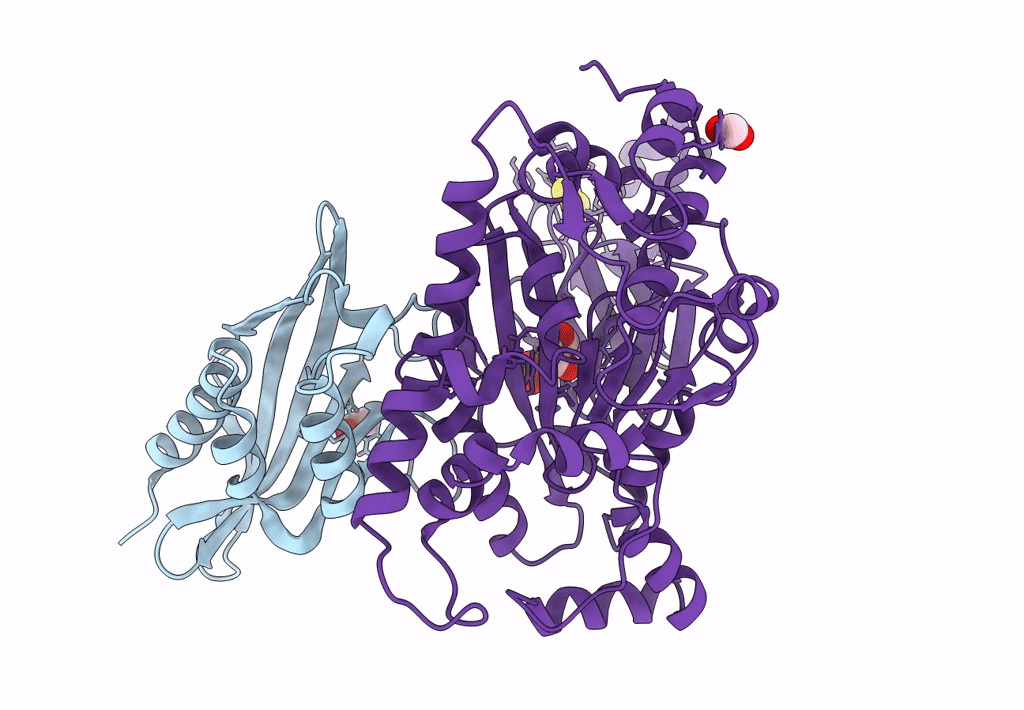 7YLS image