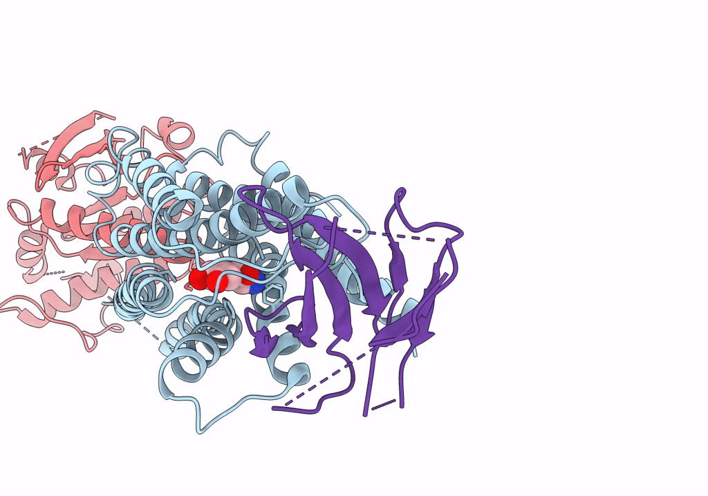 7YMH image