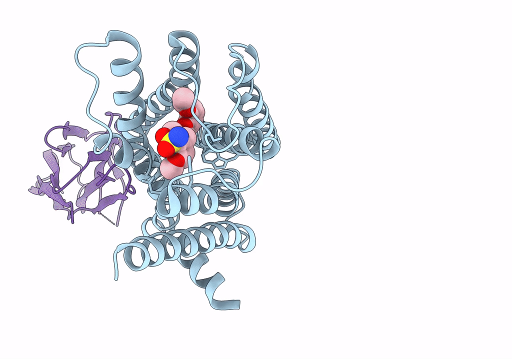 7YMJ image