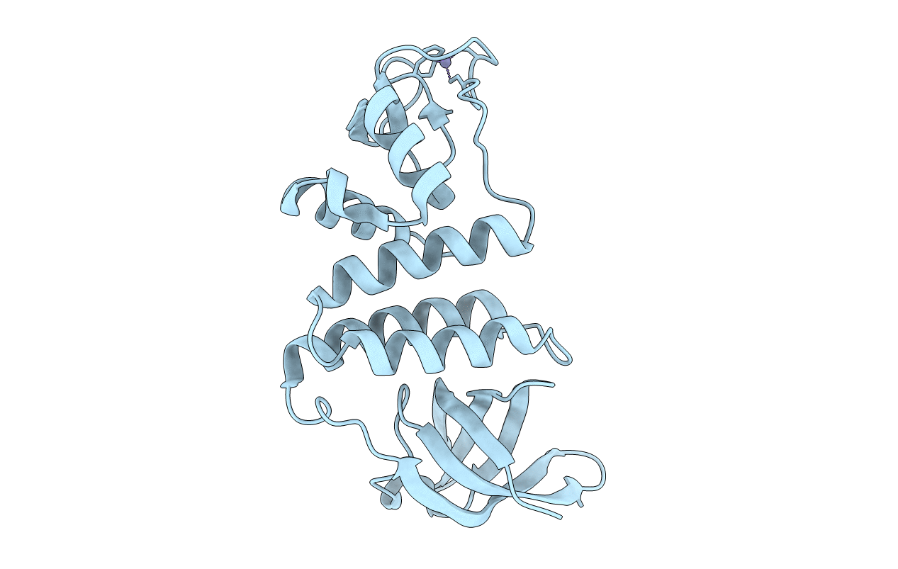 7YMO image