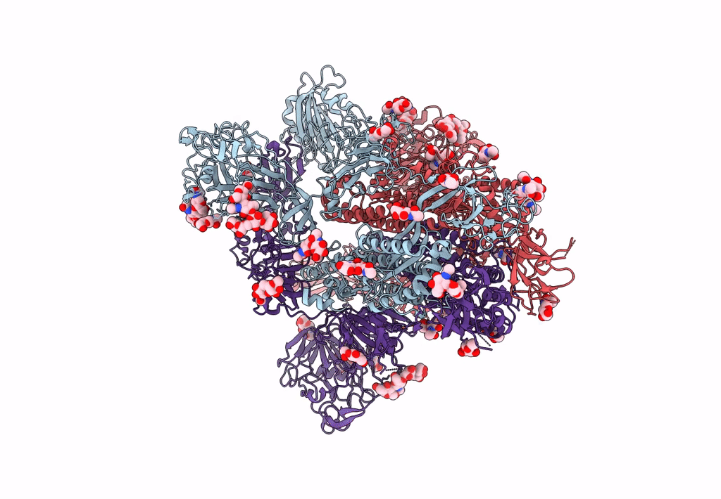 7YMT image
