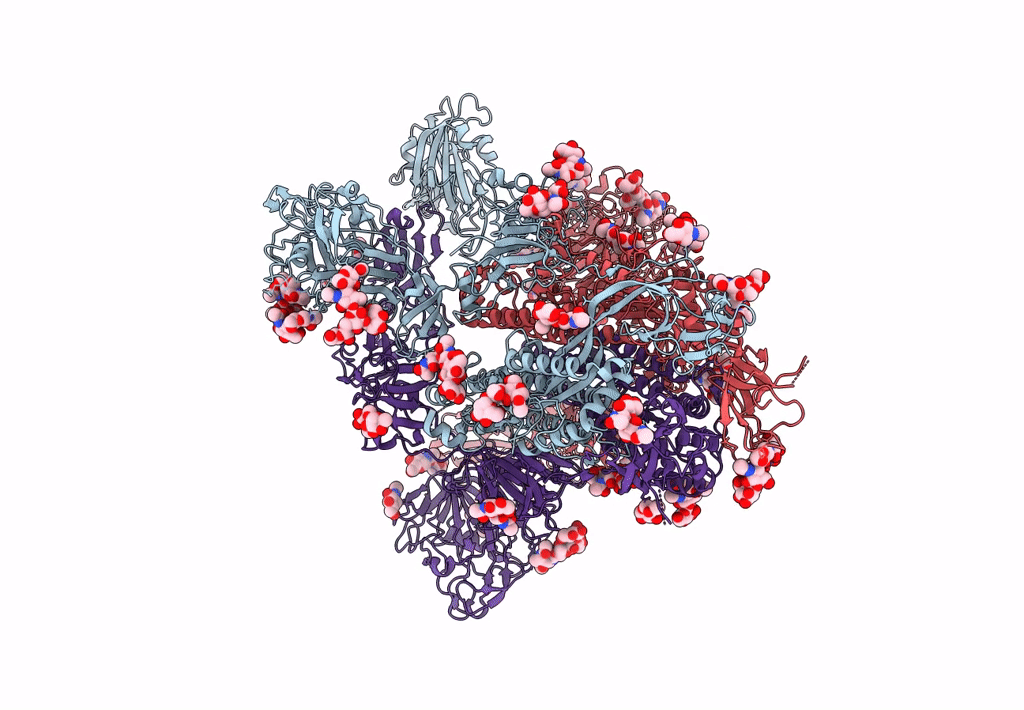 7YMV image