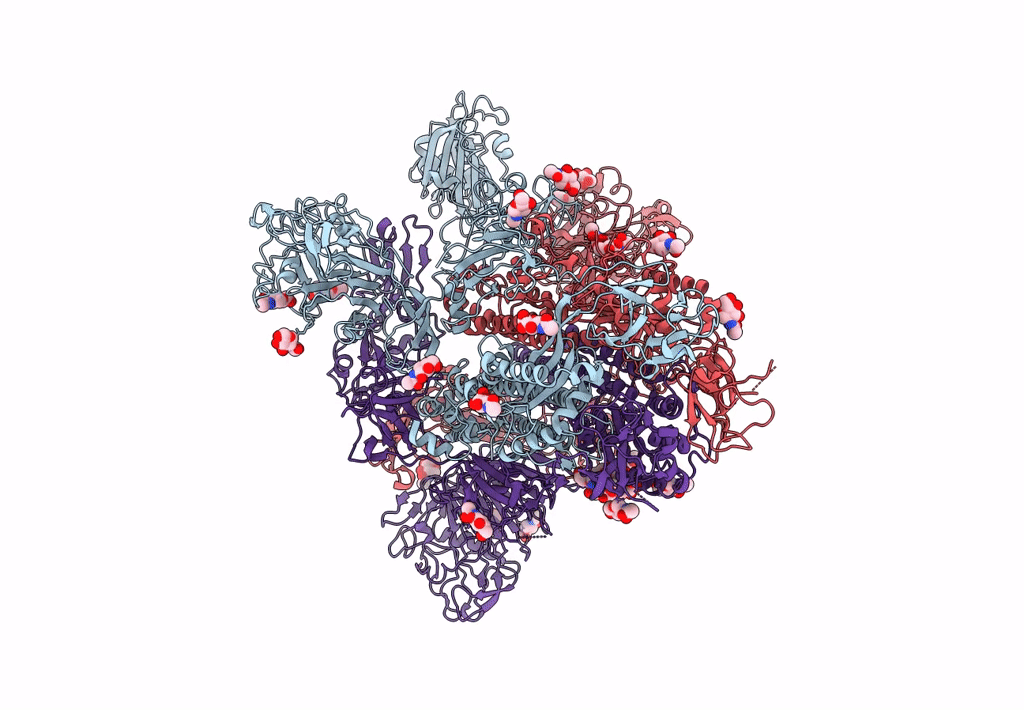 7YMW image
