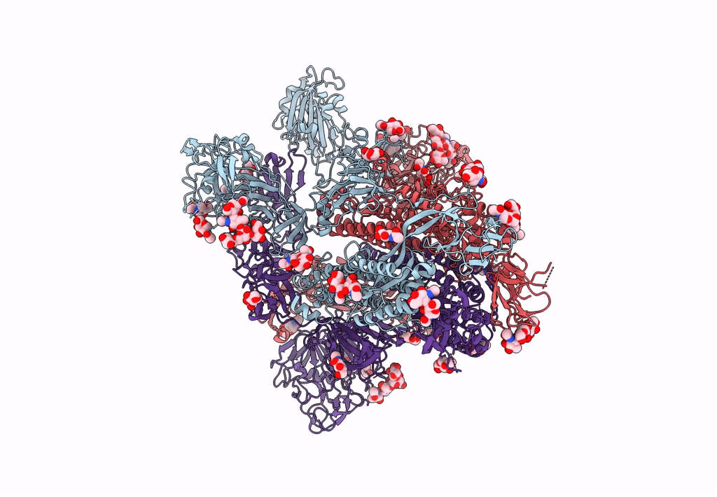 7YMX image