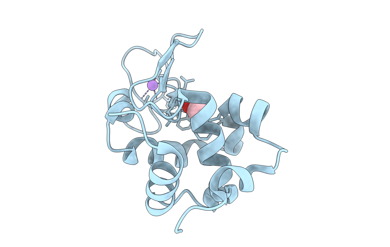 7YNV image