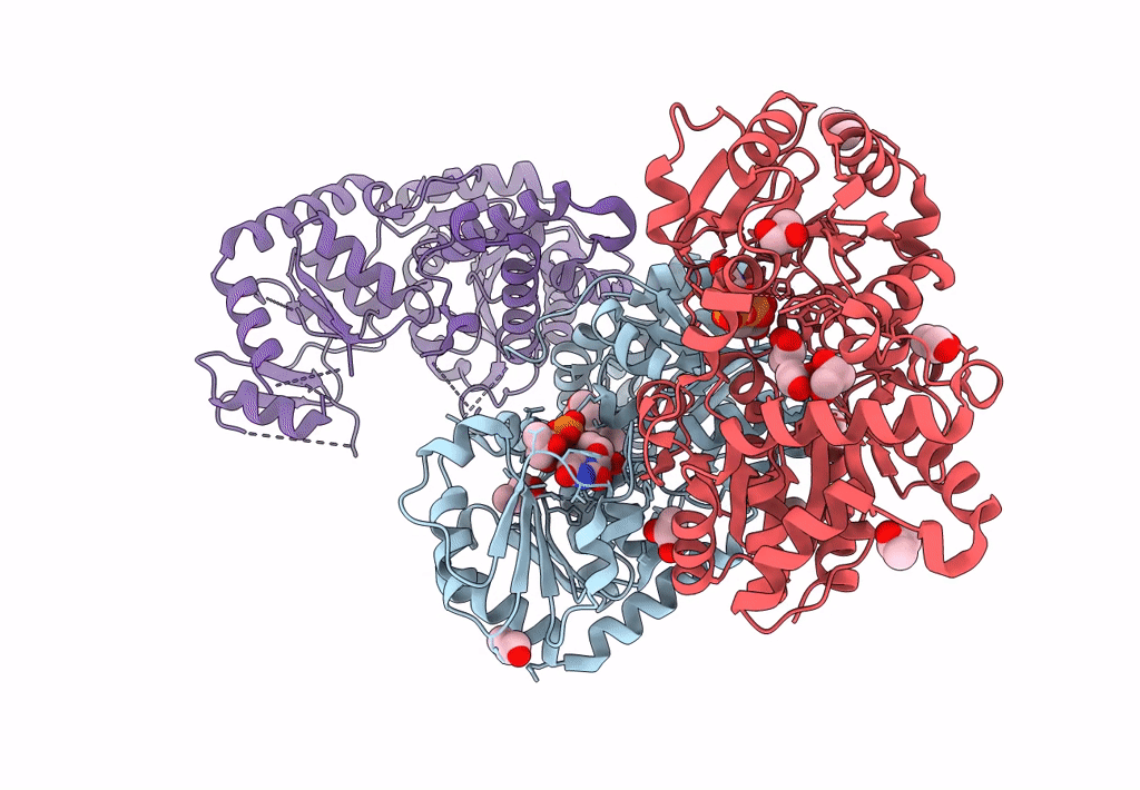 7YP6 image