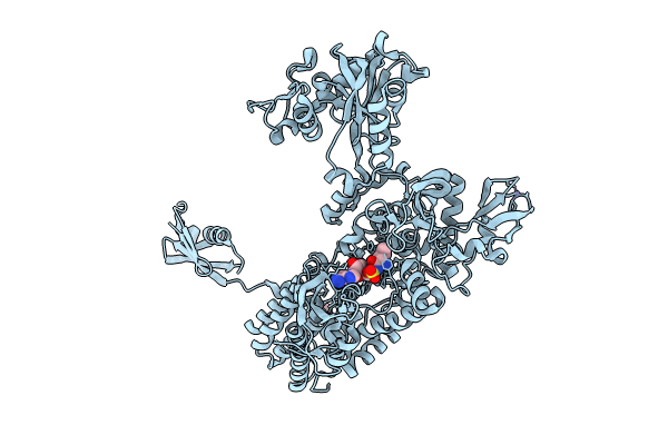 7YP8 image