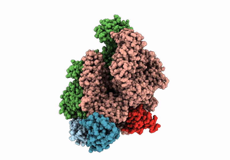 7YP9 image