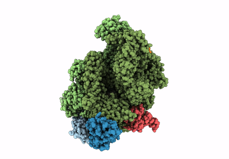 7YPA image