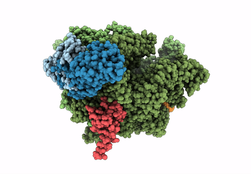 7YPB image