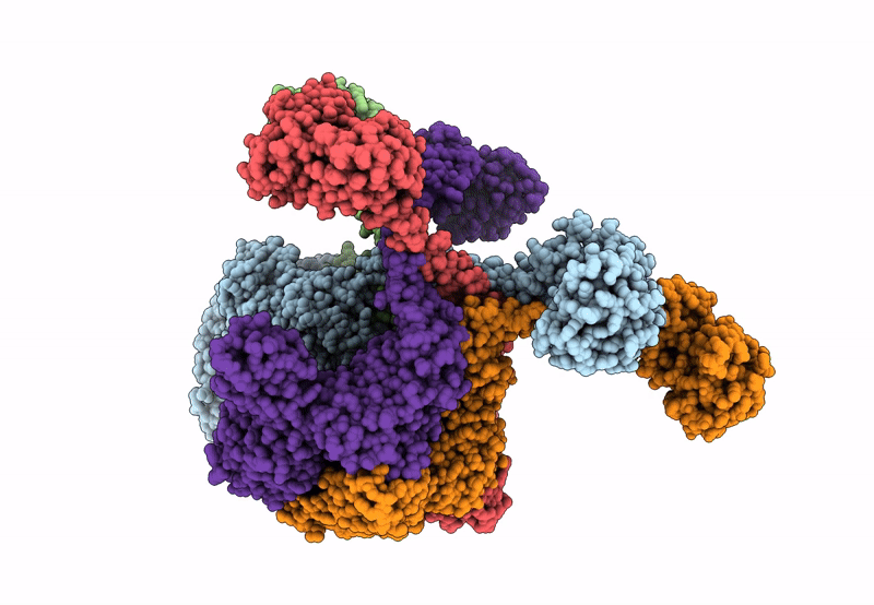7YPH image