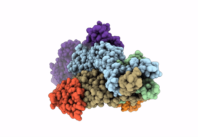 7YPX image